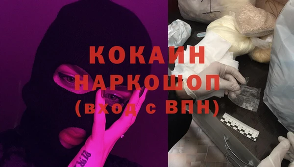 СК Кукмор