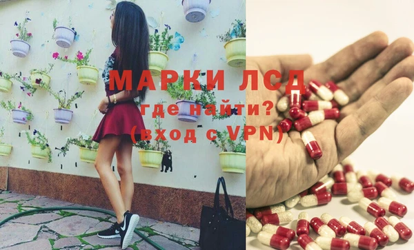 гидропоника Рославль